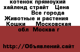 котенок прямоухий  хайленд страйт › Цена ­ 10 000 - Все города Животные и растения » Кошки   . Московская обл.,Москва г.